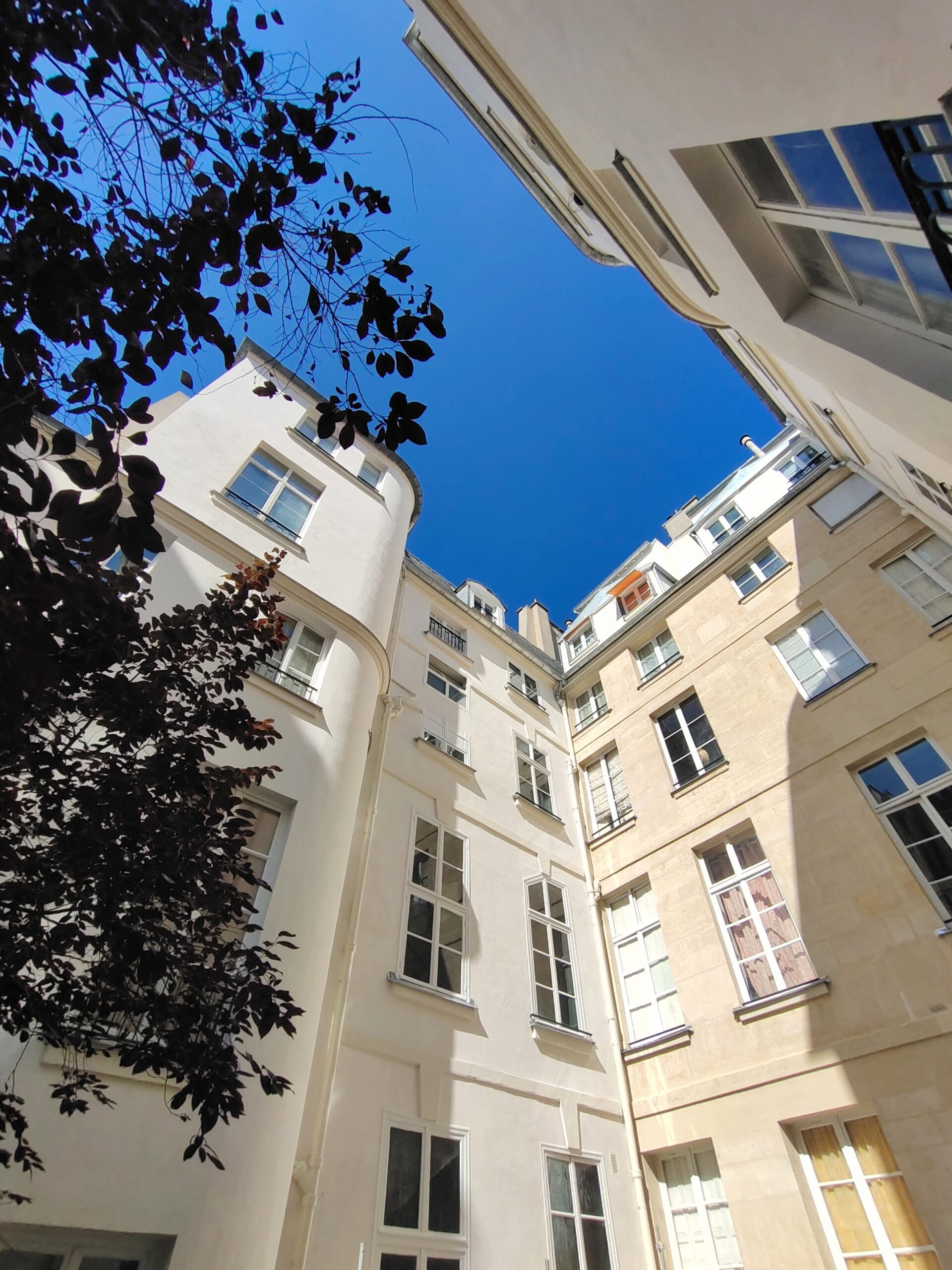 15 rue Guénégaud – 75006 Paris